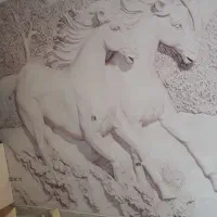 کاغذدیواری|خدمات پیشه و مهارت|مشهد, طبرسی شمالی|دیوار