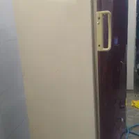 یک عدد یخچال|یخچال و فریزر|داراب, |دیوار