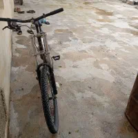 دوچرخه 26 ویوا