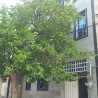 فروش واحد آپارتمان مسکونی کوهسار کردان