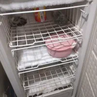 تمام فیریزر|یخچال و فریزر|رشت, جماران|دیوار