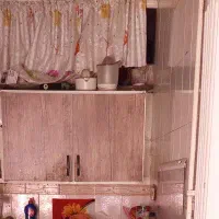 شرکت شجاعی