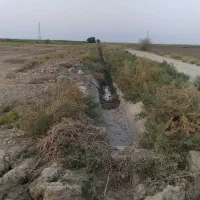فروش ۹ هکتار