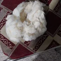 فروش پنبه
