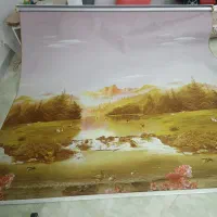 پرده زبرا|پرده، رانر، رومیزی|پیشوا, |دیوار