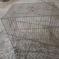 قفس