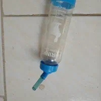 قفسه|لوازم جانبی حیوانات|قم, طلاب غیر ایرانی|دیوار