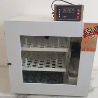 دستگاه جوجه کشی