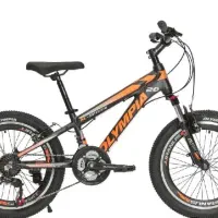 دوچرخه سایز20 المپیا