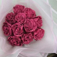 گل مصنوعی|گل مصنوعی|اندیمشک, |دیوار