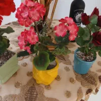 سلام سه گلدان تهران|گل مصنوعی|تبریز, |دیوار