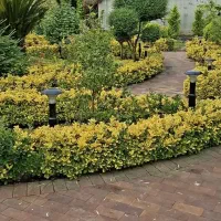 کلیه خدمات باغبانی  طراحی واجرای تخصصی محوطه ویلا