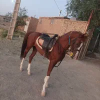 نریون