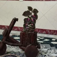 دوچرخه