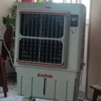 گولر ابی نو نو