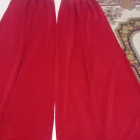 دستک سرخ ابی