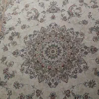 فرش ۶ متری مشهد|فرش|تهران, سازمان برنامه جنوبی|دیوار