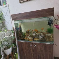 آکواریوم با میز