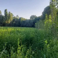 زمین کشاورزی آبی (براو)