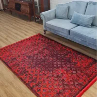 ارزانسرای فرشینه بِرَند حسابی/فرش اقتصادی|فرش|تهران, لاله زار|دیوار