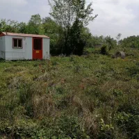 فروش دامداری صنعتی بامجوز وپروانه ساخت|فروش زمین و ملک کلنگی|املش, |دیوار