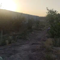 باغ-زمین-ویلا