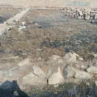 فروش زمین ۱۵۰ متری در کارون|فروش زمین و ملک کلنگی|اهواز, کارون|دیوار