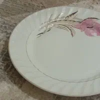 ۱۱ بشقاب پلو خوری و۱۲عدد بشقاب خورشت خوری