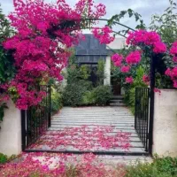ویلافلت-مدرن-باگلهای-کاغذی-رویایی-شیک-نورجنگلی