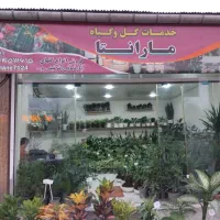 انواع گل های آپارتمانی و گلخانه ای