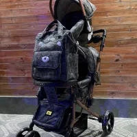 ست کامل کالسکه و کریر دلیجان نو نو مدل بنیتا