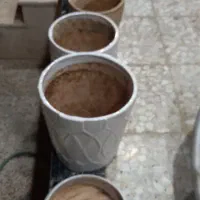تعدادی گلدان سفال همراه باکس گل|گل و گیاه طبیعی|شیراز, شریف‌آباد|دیوار
