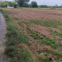 فروش زمین در حومه ی رشت