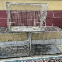 قفس 60در40 عروس هلندی کفتر