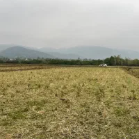 2200-متر-مزروعی-راه-دسترسی-پر-آب-شاندرمن-زیبا
