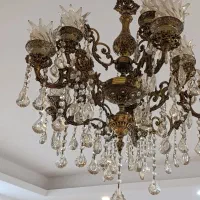 لوسترپنج شاخه