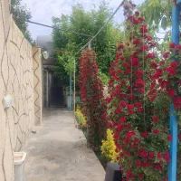 باغ ویلا مسکونی سکونت داعم روستا ۶۰ متر بنا اب برق