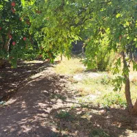 باغ شهری