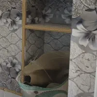 کاشی کاری سرامیک کاری لنگرود املش...|خدمات پیشه و مهارت|املش, |دیوار