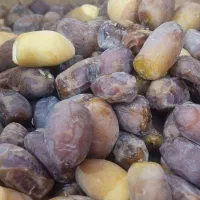رطب عسلی|خوردنی و آشامیدنی|تهران, آرژانتین|دیوار