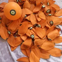 تعداد 200 عدد تیوپ توپ