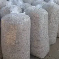 فروش تفاله چغندر کارخانه میاندوآب