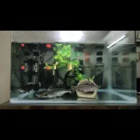 آکواریوم با لوازم و ماهی