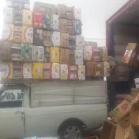 خریدار کارتن موزی هستم