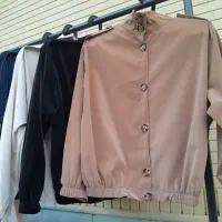 پالتو|حراج|شیراز, محراب|دیوار