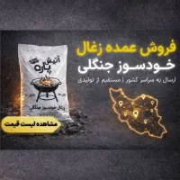 زغال کبابی خودسوز آتیش پاره