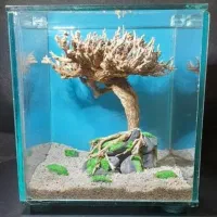 آکواریوم فایتر|ماهی|تهران, توحید|دیوار