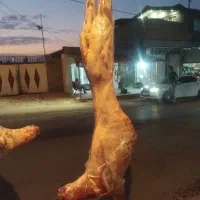 کشتار بره وبزغاله شیشک
