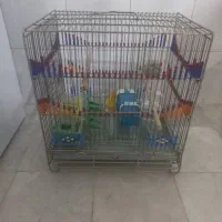 قفس سهره و طرقه