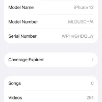 iPhone 13|موبایل|شیراز, شهدای شهرک سعدی|دیوار